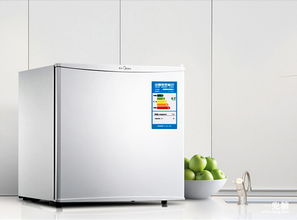 有了神奇的小家電 即便在宿舍也能做出滿漢全席